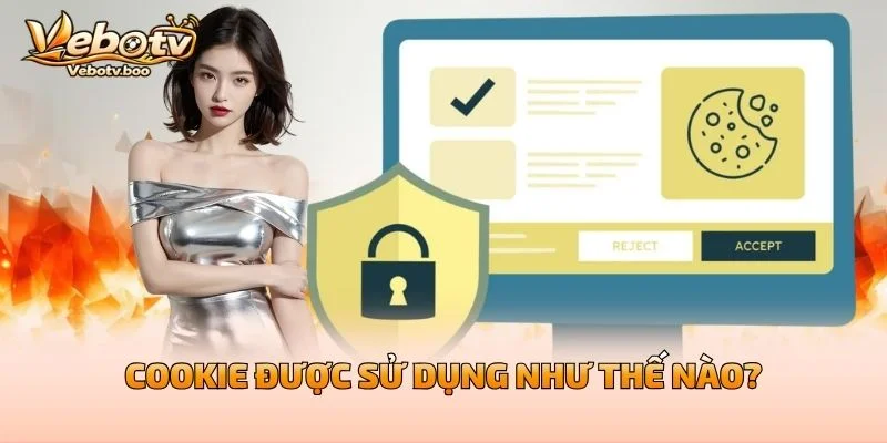 Cookie Được Sử Dụng Như Thế Nào?