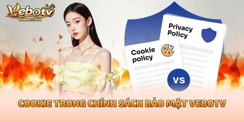 Cookie Trong Chính Sách Bảo Mật Vebotv