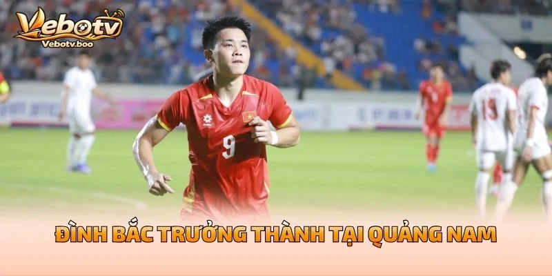 Đình Bắc Trưởng Thành Tại Quảng Nam