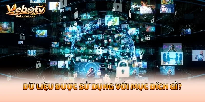 Dữ Liệu Được Sử Dụng Với Mục Đích Gì?