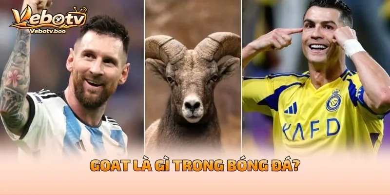 GOAT Là Gì Trong Bóng Đá?
