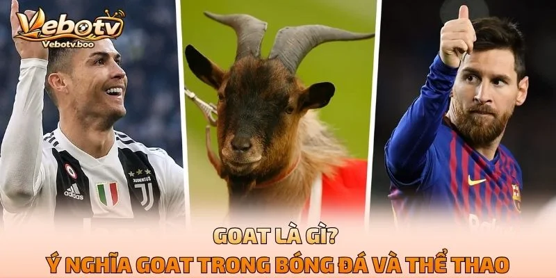 GOAT Là Gì? Ý Nghĩa GOAT Trong Bóng Đá Và Thể Thao