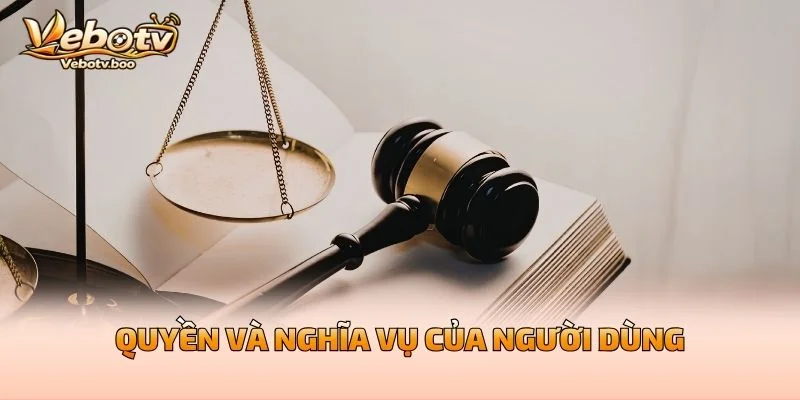 Quyền Và Nghĩa Vụ Của Người Dùng