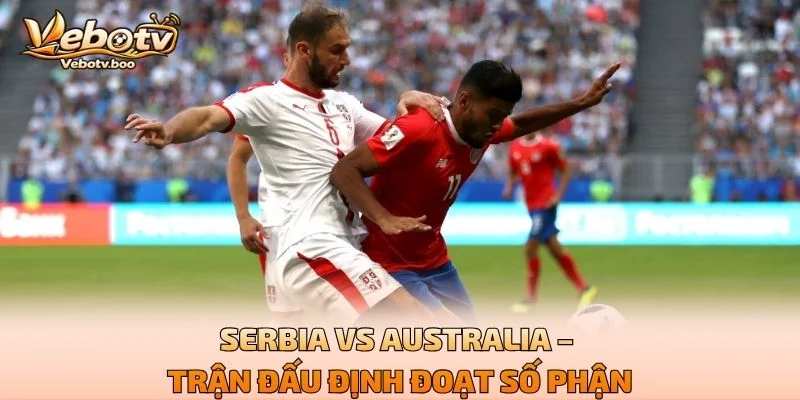 Serbia Vs Australia – Trận Đấu Định Đoạt Số Phận